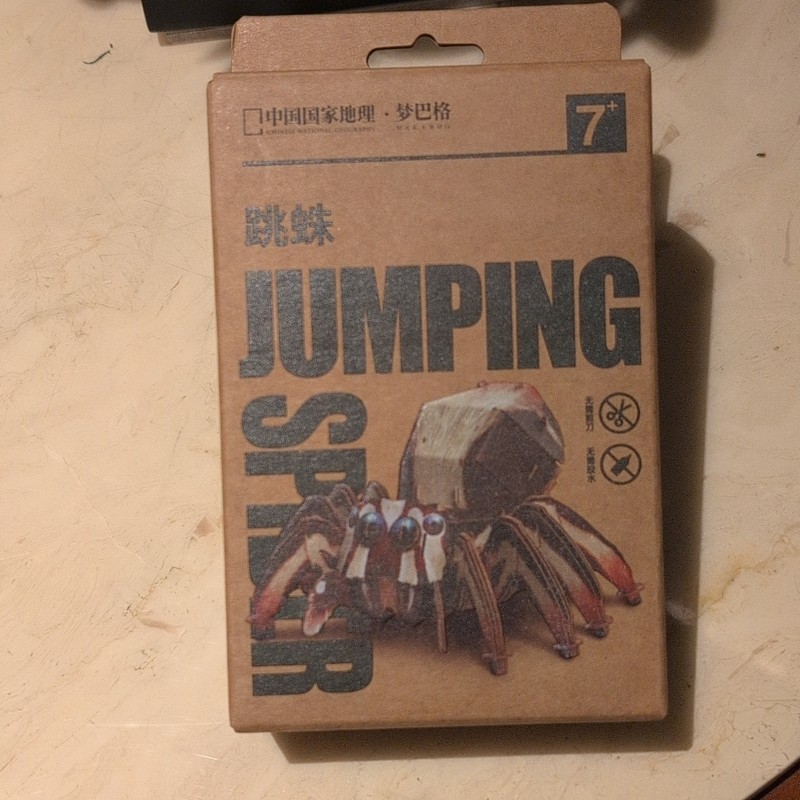  Rainforest Monsters Series - Jumping Spider