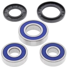 Yamaha FZ6R 2009-2017 Rear Wheel Bearings And Seals