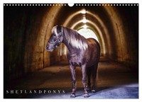 "Calendar 2027 · US Version · Shetland Pony Calendar (Wall Calendar 2027 17\" × 12"