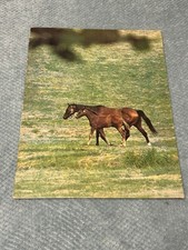 Vintage MEAD Horse paper folder - unused