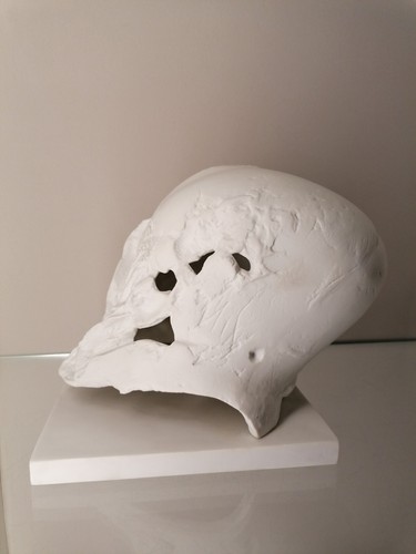 Goebel Porzellan Skulptur T. Duttenhoefer SCHÄDEL auf Platte limitiert 7 / 10 - Bild 2 von 13
