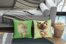 Cushion for indoor home decor and Interior design with Cats HQ Print- 2 Side Pri
