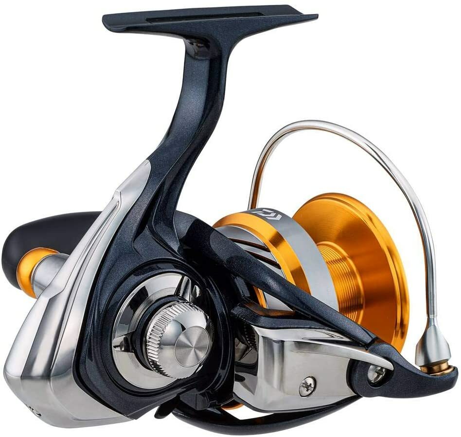 Daiwa (DAIWA) Spinning Reel 20 Revros LT 6000D-H (2020 model