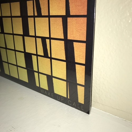 NEW Theory of A Deadman ORANGE VINYL Wake Up Call Nickelback Seether Shinedown - Picture 8 of 12