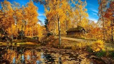 Landscape nature cottage fall pond cabin fallen leaves Custom Gaming Mat Desk