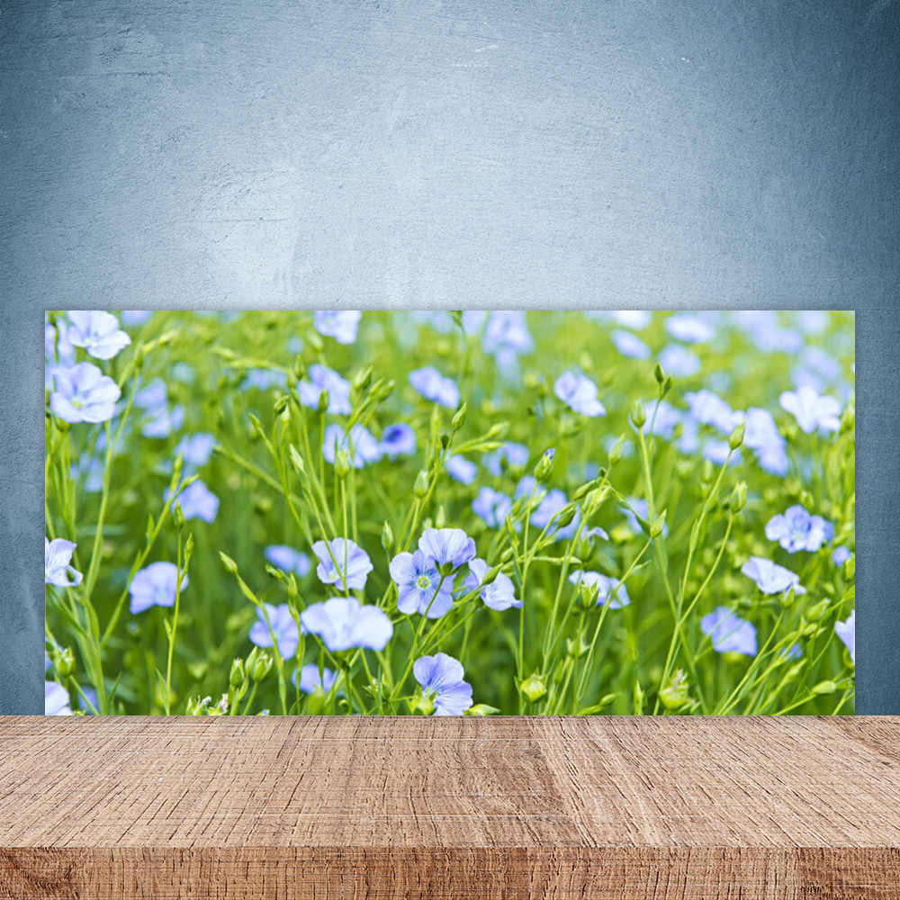 Panneau de protection mural en verre 100x50 cm lavable pour cuisine