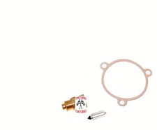 Classic Mini Austin Rover Innocenti spillo carburatore flottante hs2 e hs4