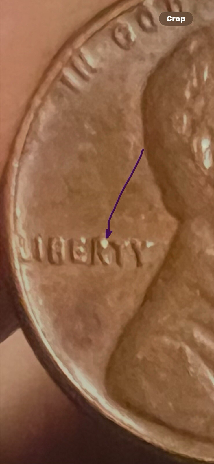Picture 2 of 5