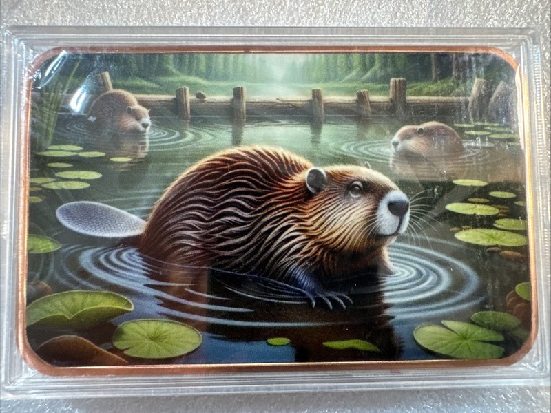 2026 5oz .999 Copper Dual Sides Colorized Enamel Backwoods Beaver Bar in Capsule