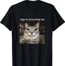 Rage Is Consuming Me Silly Staring Cat Meme T-Shirt