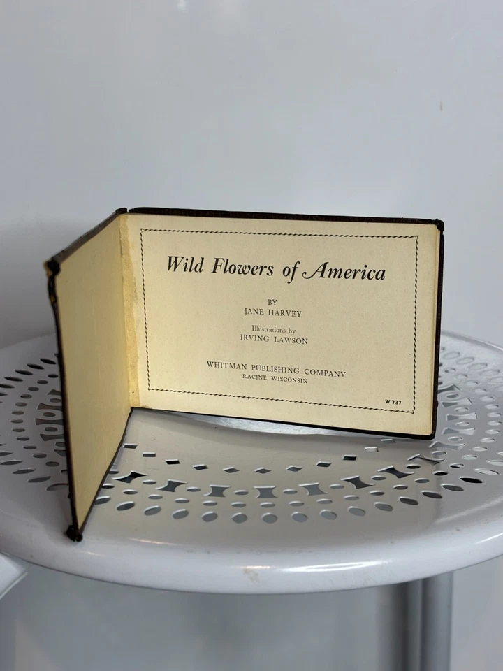 Vintage Antique 1930s Illustrated Wild Flowers of America by Jane Harvey 1932 HC - Image 4 of 4
