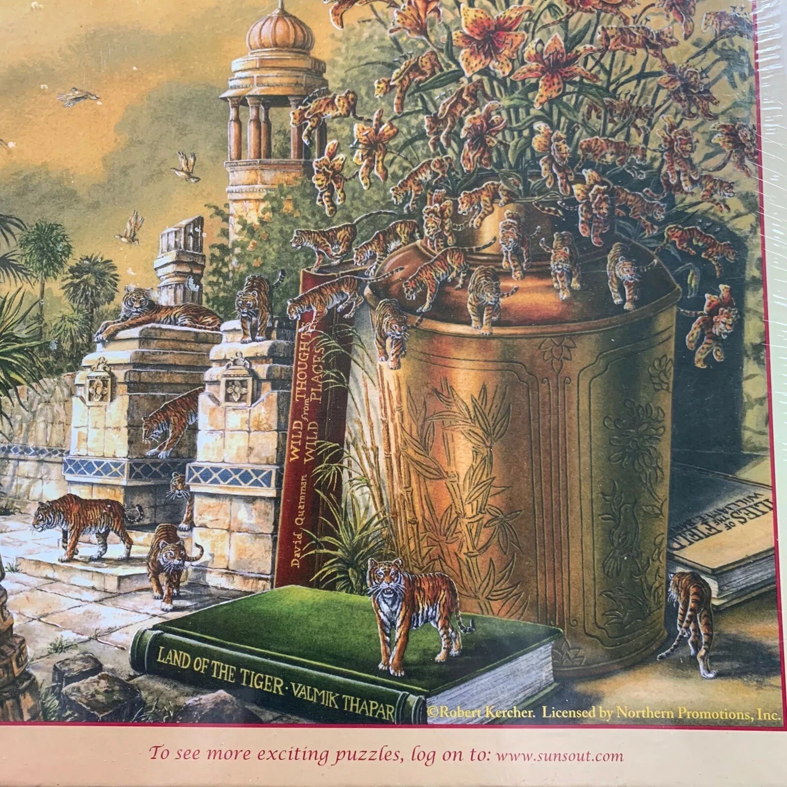 Picture 4 of 9