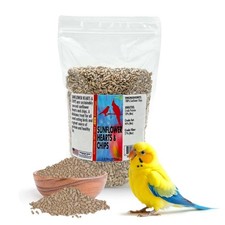 Sunflower Hearts  Chips 1.5 lbs   Premium Bird Seed with High Protein  Heal...