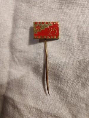Pin Anstecker 6th Proletarian Division NIKOLA TESLA 25th Anniversary Rare Vintage 