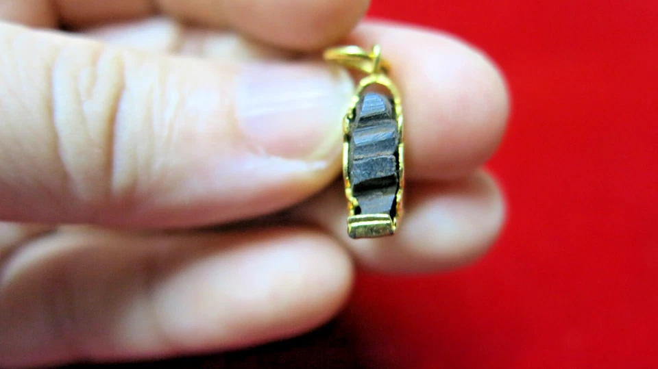 Colgante Amuleto León Singha Himapant Madera Negra Tallada Sagrada Luang Por Horm Raro Foto 4 de 4