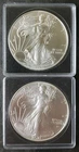 2021 Type 1 and Type 2 $1 American Silver Eagle Dollars in Plastic Holders