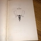 Foto 10 di 12