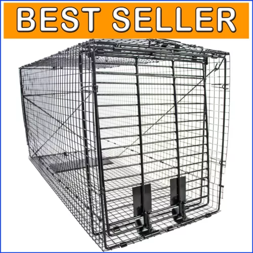Galvanized 50-Inch Live Animal Trap - Durable, Easy Setup for Coyote and Cats
