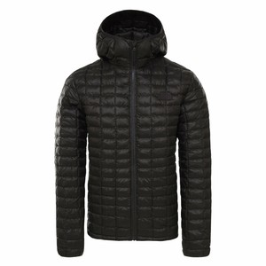 ebay north face thermoball