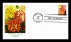 DR JIM STAMPS US COVER DAHLIAS BOTANICAL ART FIRST DAY ISSUE PANDA CACHET