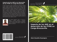 Alain Douathe Koyangozo | Impacto De Los Aae En El Desarrollo De Las Pyme En...