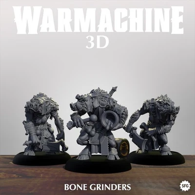 STEAMFORGE GAMES Thornfall Alliance starter set - individual miniatures - Warmachine