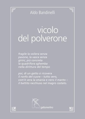 Aldo Bandinelli Vicolo del Polverone. Appunti a Roma. Ed (Paperback) (UK IMPORT)