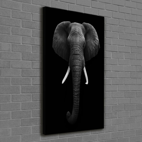 Arte de La Pared Pintura en Lienzo Decoración de Salón 60x120 elefante africano - Imagen 1 de 6