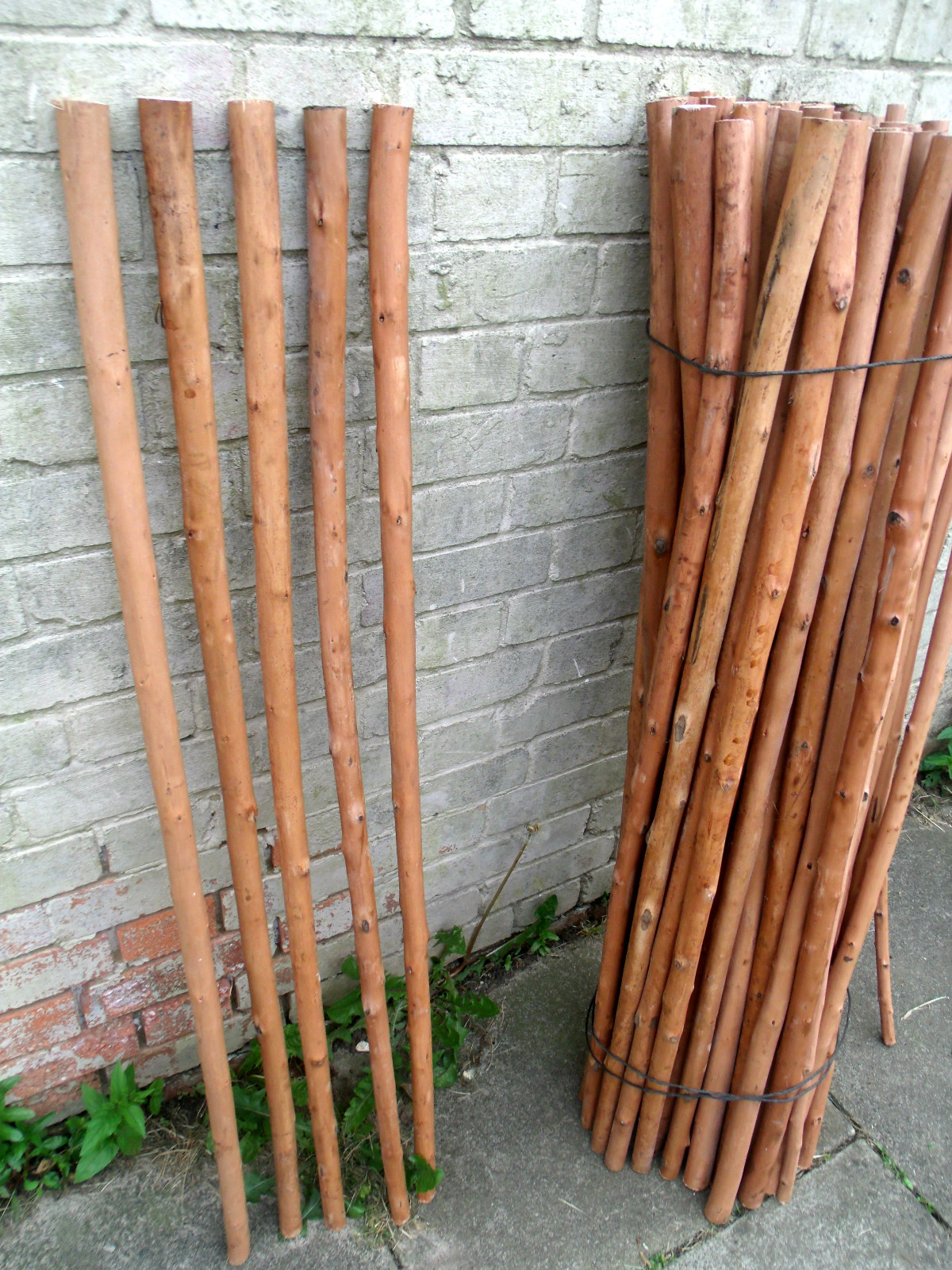 Chestnut Shafts Shanks Seasoned Peeled Blanks Stick making Walking