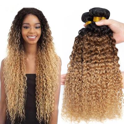 12A Ombre Human Hair Bundles Jerry Curly Wave Virgin Hair Extensions Weft  Weavy