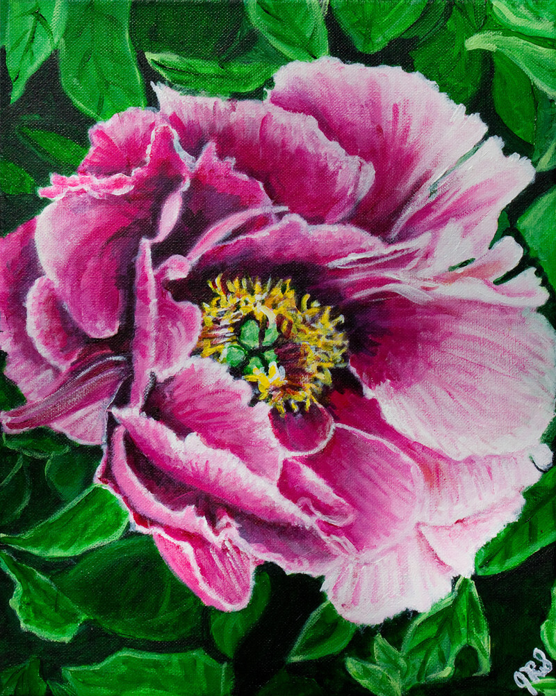 Limited Edition Gloss Art Print 