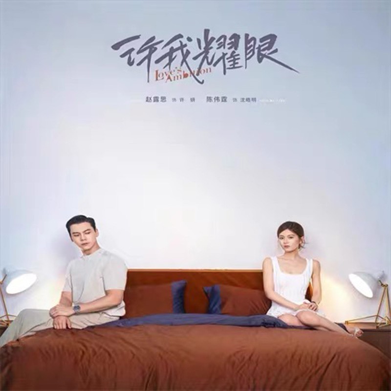 xu wo yao yan Chinese Sub 许我耀眼 Boxed 2025