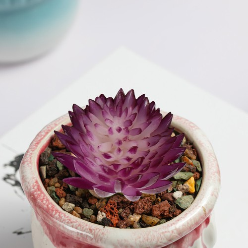 6 PIEZAS Plantas Suculentas Simuladas Realistas Adornos de Escritorio Adornos de Plantas Nuevo - Imagen 1 de 12