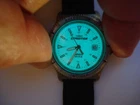 Timex Expedition Indiglo Mens Unisex Quartz Watch 50M WR Luminous Dial Date Runs