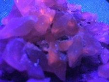 KB: NICE! SW FL. RED CALCITE XLS. FROM NORWAY