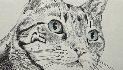 Cat Drawing 3 H X 5.5 W Original Ink Pen & Colored Pencils On Paper Unframed
