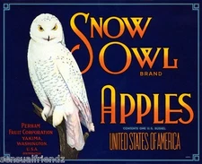 Snow Owl Apple Fruit Crate Label Art Print Perham Fruit Yakima WA  8.5"x11"