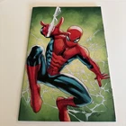 Amazing Spider-Man #1 Marvel 2025 Greg Land 1:100 Virgin Variant