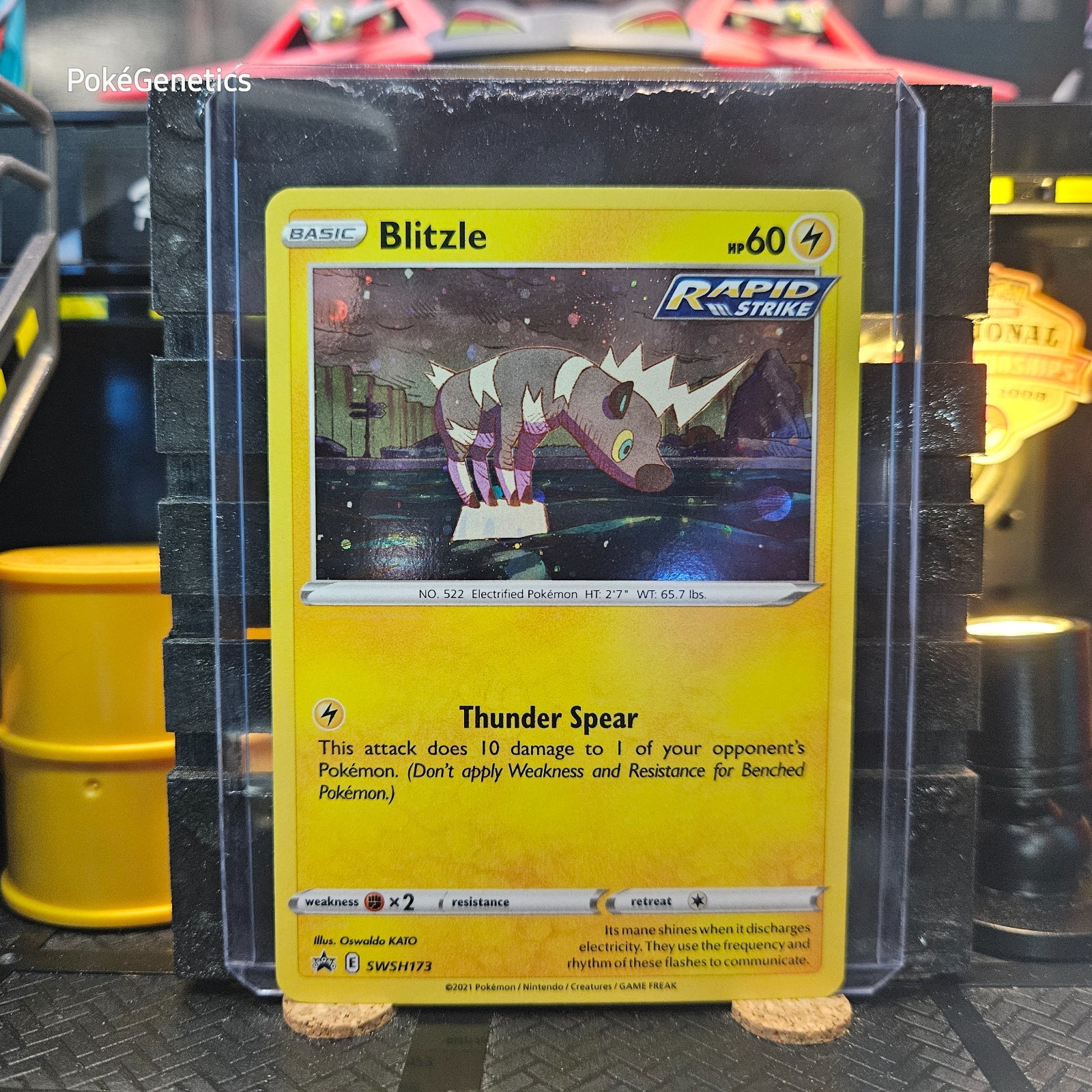 Blitzle Cosmos Holo Promo Pokémon TCG SWSH173 Sword & Shield Black Star