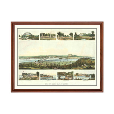 Old Map of New Haven, CT 1862 - Vintage New Haven Connecticu