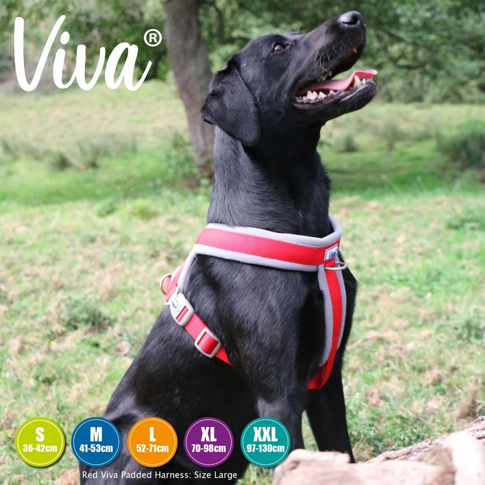 Arnés acolchado para perros - rojo. Ajustable, reflectante, ligero, control. 5 tallas. Foto 3 de 4