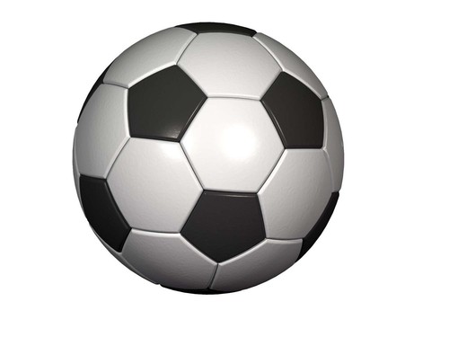 2016/17 Das offizielle Jahrbuch Hallescher FC HFC Chemie Sammler 155 S. DIN A4 - Bild 2 von 17