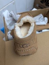 UGG Men's Ascot Slipper Chestnut Size 7 Uk Brand New Boxed