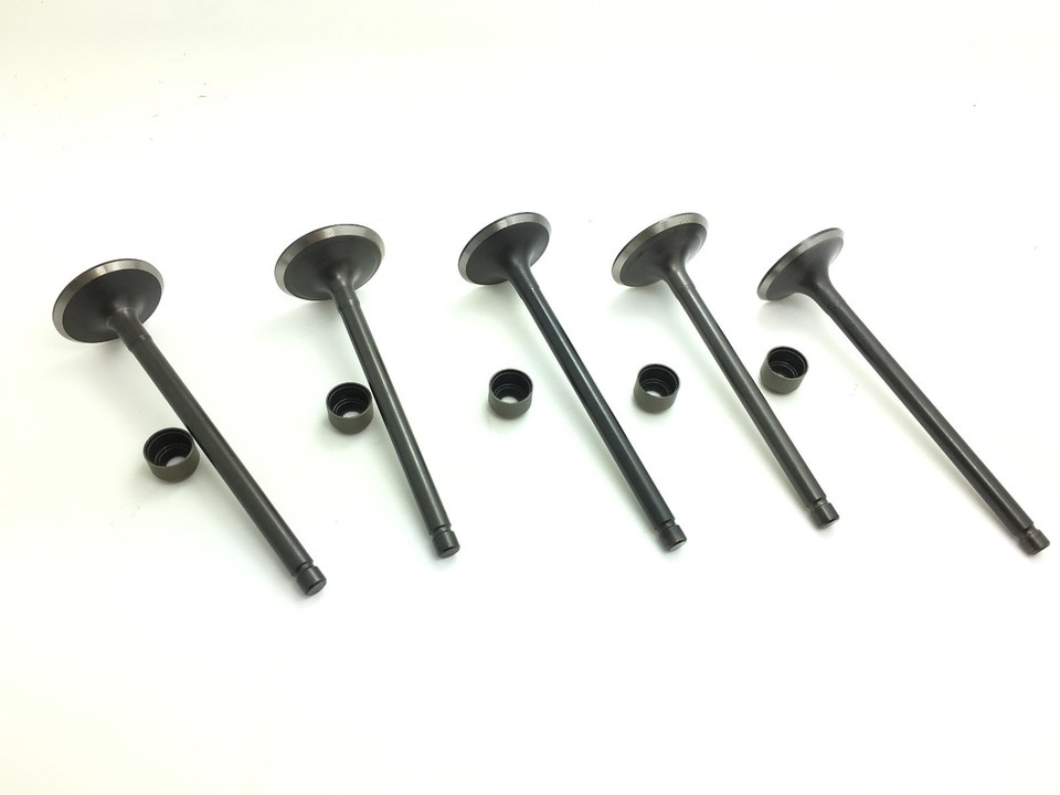 Rhino Raptor Grizzly 660 Standard Steel Intake Exhaust Valves Valve Seals Yamaha eBay