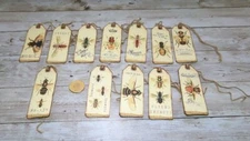 12~Vintage~Insects~Bees~Junk Journal~Linen Cardstock~Gift~Hang~Tags