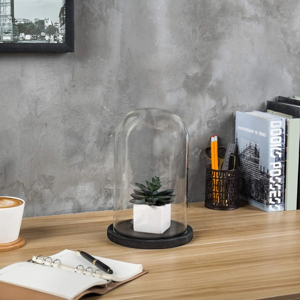 6 x 10 Inches Clear Glass Cloche Bell Jar Display Case w/ Rustic Black Wood Base - Image 2 of 4