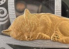 Kazakhstan: 2024 Silver 925 gilded coin 1000 Tenge Peace to your home 1 Oz cat