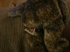 Bild 3 von 3