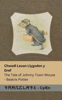 Chwedl Leuan Llygoden Y Dref / The Tale Of Johnny Town-Mouse Beatrix Potter Buch