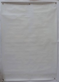 Eve The Lost One Horizontal Large Size Game Poster Promotion Sega Saturn Imagine